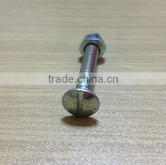Grade 4.8 Galvanized Roofing Bolt and Nut photo-2