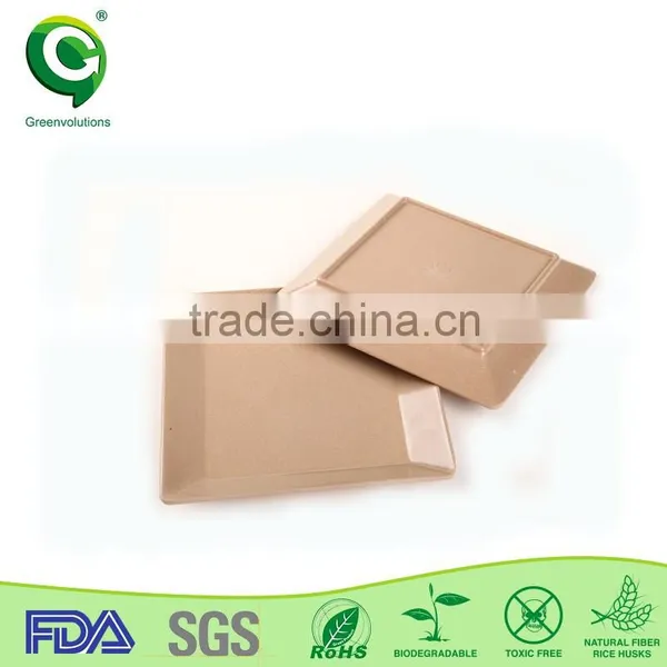 Fashion Design Biodegrable and Wholesale Simple Square Plate photo-2