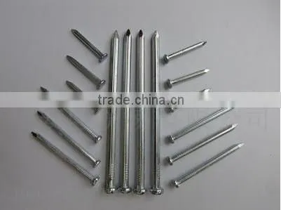 Galvanized Concrete Steel Nail photo-3
