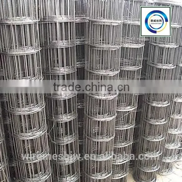 Good Price for Galvanized Stainless Steel Welded Mesh photo-3