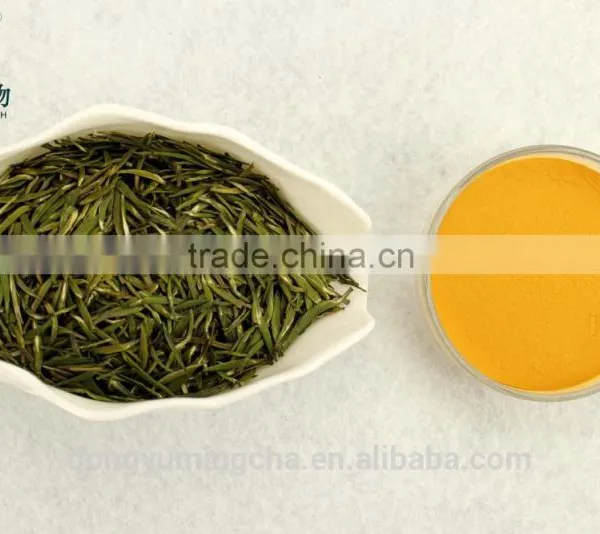 GMP Manufacture Supply Top Quality Instant Tea Powder 30% Tea Polyphenol