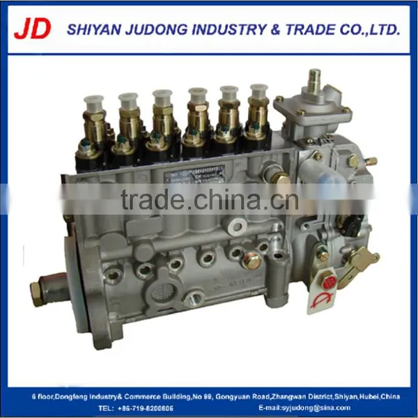 High Pressure Dongfeng Truck Diesel Engine Fuel Injecion Pump C3973900
