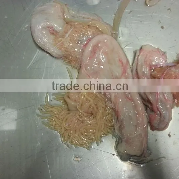 Cod Intestines + Stomach Cleaned and Frozen photo-2