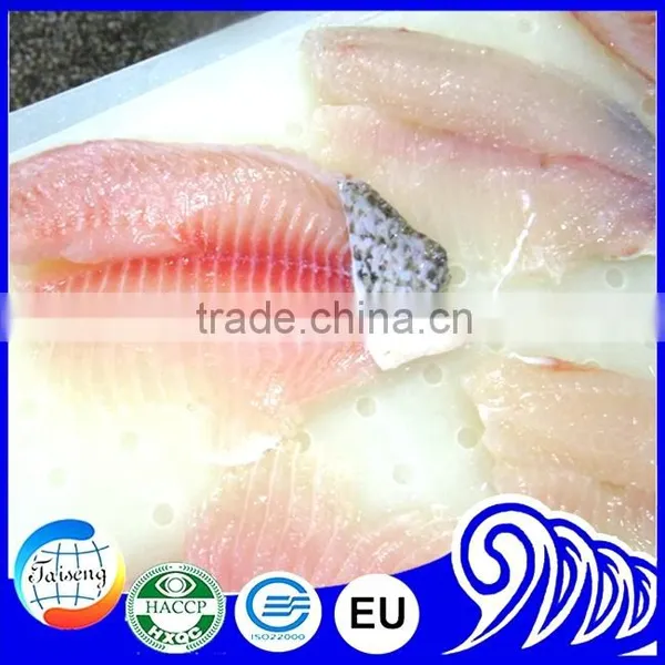 Bulk Tilapia Fillet for Tilapia Buyer photo-4