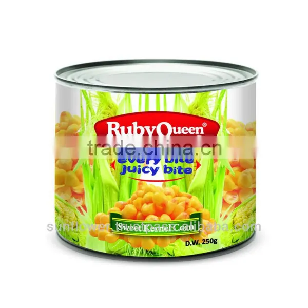 Fresh Pack Baby Corn in Brine 2015 photo-5
