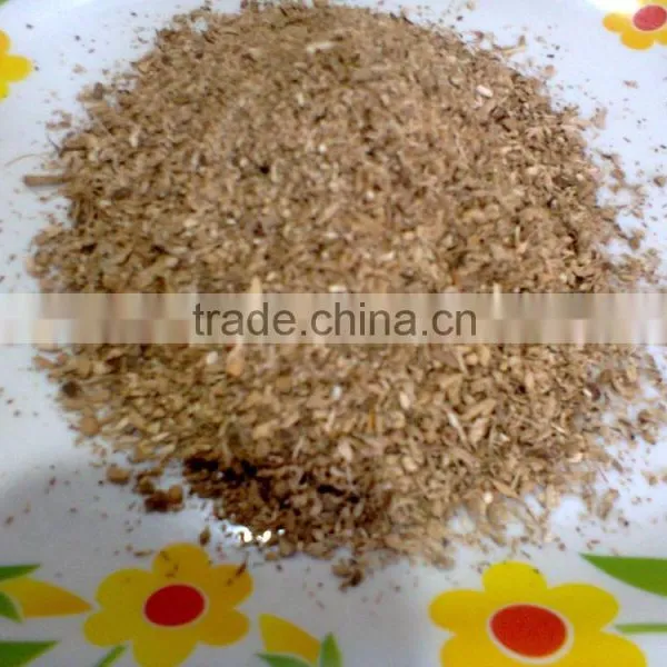 Buch/Acorus Calamus / Calamus Root photo-4