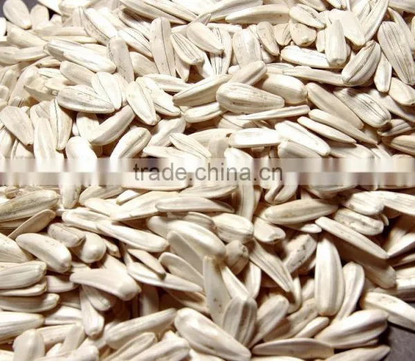 White Sunflower Seeds From Turkey photo-3