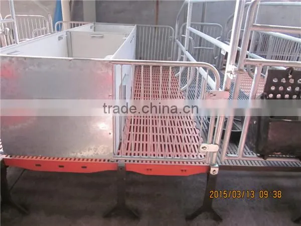 Goldenest High Quality Cheap Price Automatic Farrowing Crate for Pigs Sow Sty Farming Equipment for Sale photo-5