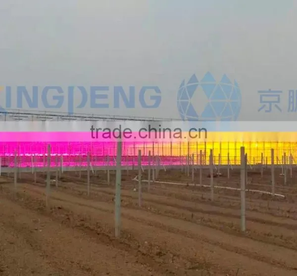 LED Grow Light With Hydroponic System Greenhouse photo-2