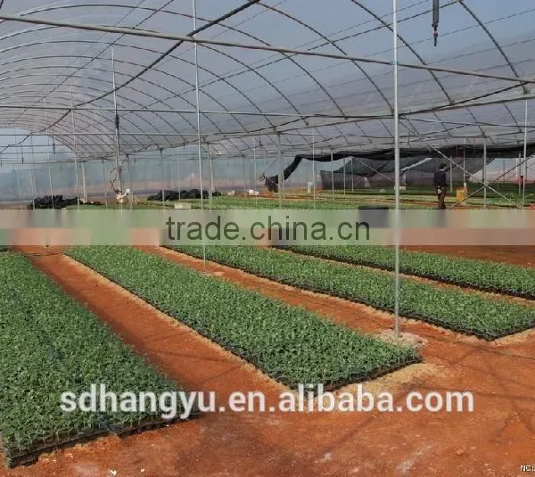 Agriculture Greenhouse Hydroponic System Plastic Sheet photo-5