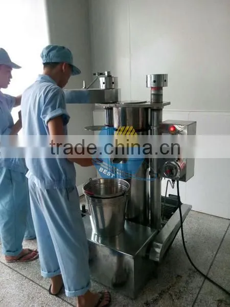 Sesame Seed Oil Press Machine for Oil Production Line photo-2