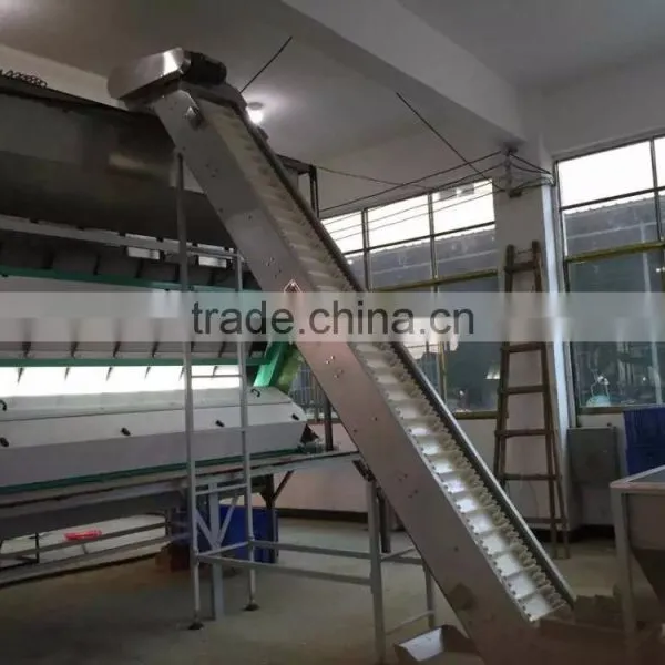 7 Chutes Color Sorter Machine/ Sorting Machine for Dehydrated Vegetables photo-6