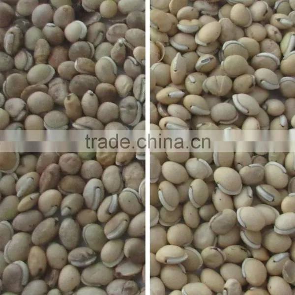 Automatic RGB Technology CCD Soybeans Color Sorter /Kidney Beans Color Sorting Machine In China photo-5