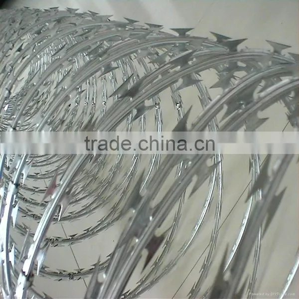 Galvanized Concertina Razor Barbed Wire for Security Fence photo-2