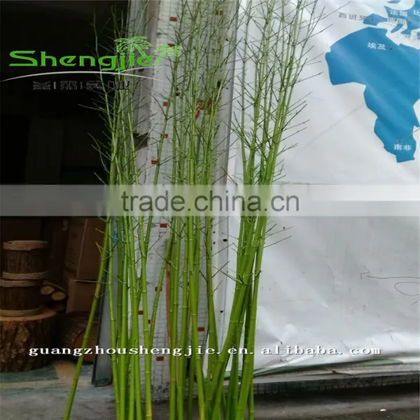 SJLJ013165 High Quality Artificial Plants and Trees/artificial Bamboo Wood Stem photo-4