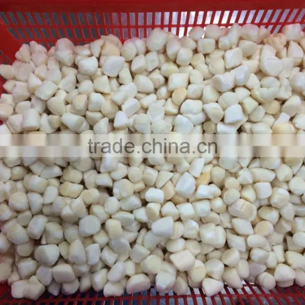 Frozen Fresh and no Chemical Treated Scallop Meat photo-3