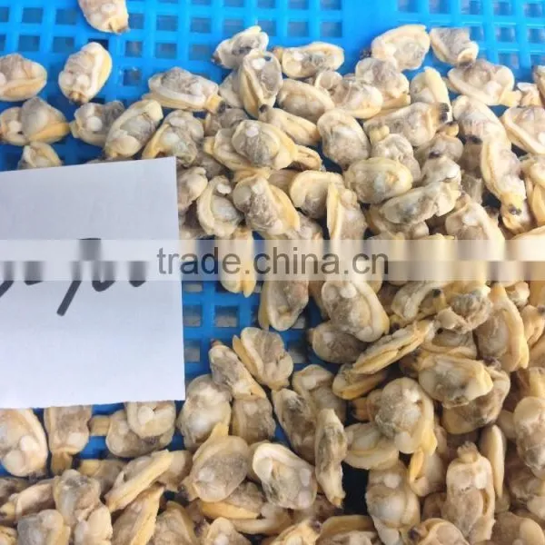 Baby Clam Meat photo-3