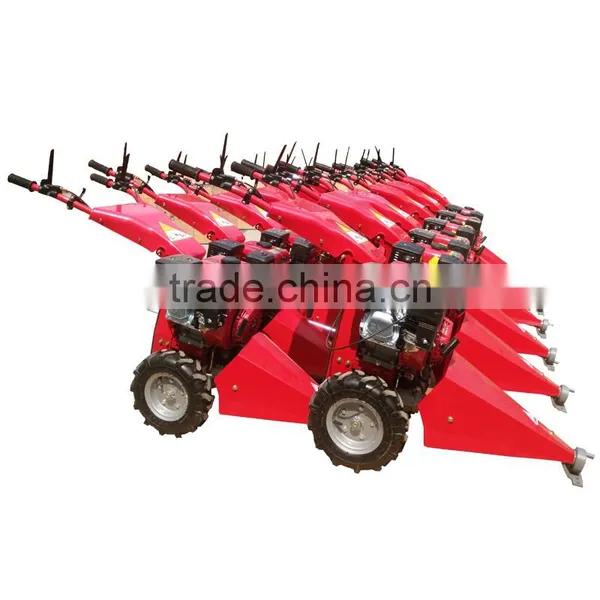 Self Propelled Lawn Mower in Grass Trimmer photo-2
