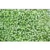 Frozen Green Peas
