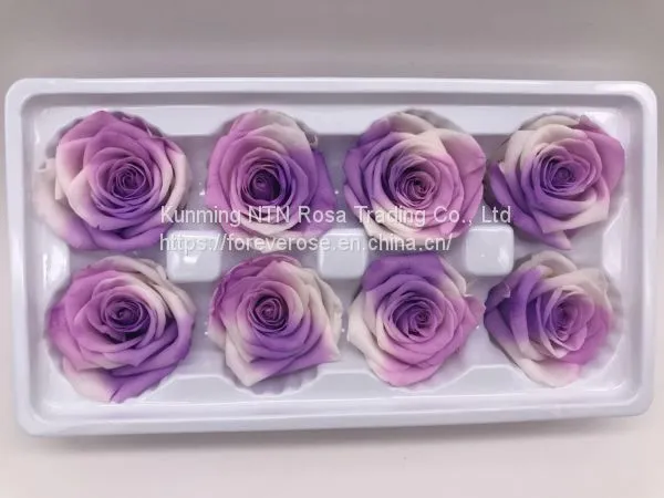 Handmade Immortal Flowers Preserved Flower Rose, Never Withered Roses photo-4