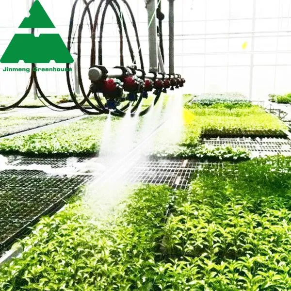 Hydroponic Glass Greenhouse for Vegetable Production photo-3