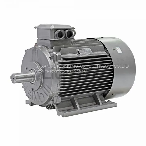 YE2 Ready Shipment AC Motor