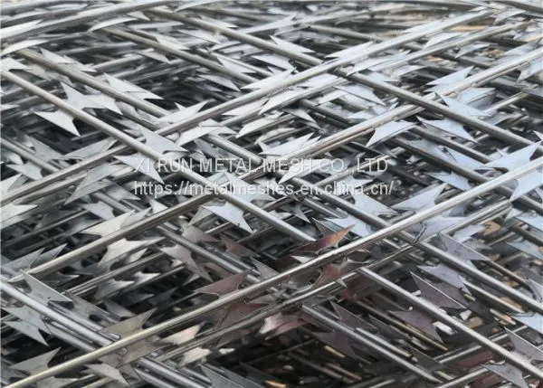 Concertina Razor Wire Coil Diameter 450MM 500MM BTO22 CBT65 photo-2