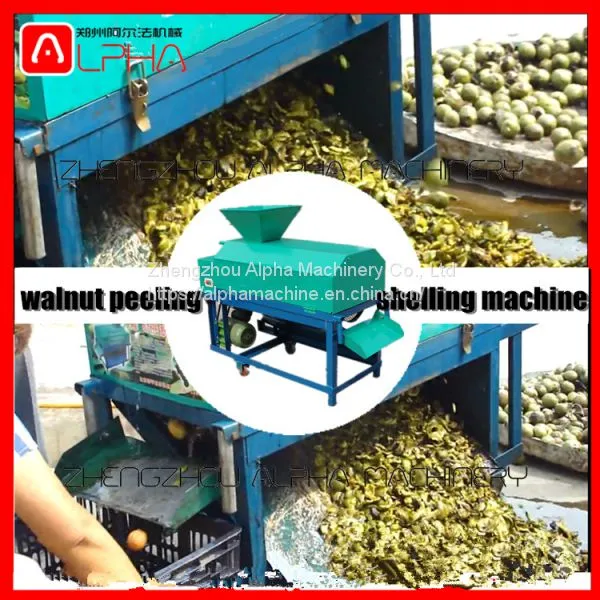 Green Walnut Washing Peeling Machine Walnut Peeler Machine photo-5