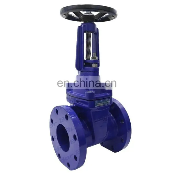 Bundor Natural Gas Gate Valve API 600 Ductile Iron Manual Gate Valve 12 Inch Sluice Gate Valve photo-5