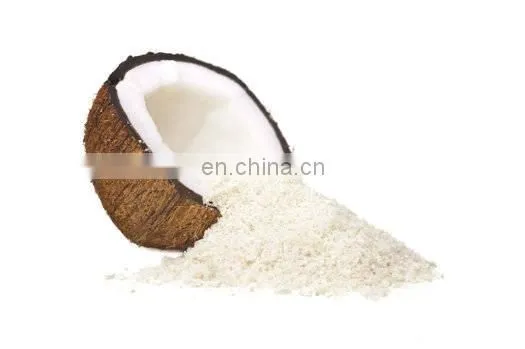 NATURAL COCONUT MILK POWDER SPECIAL FROM VIETNAM photo-5