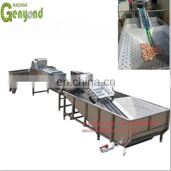 Automatic Egg Washer/chicken Egg Washing Machine