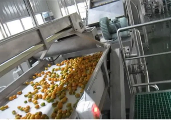 Rotary Roller Drum Fruit and Vegetable Washing Machine for Promotion photo-2