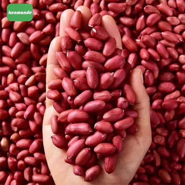 Bulk Intact Red Coat Small Red Peanut Kernels 80/90 for Nut Mix Packing