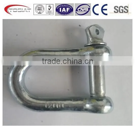 electrial galvanized European standard D and bow shackle