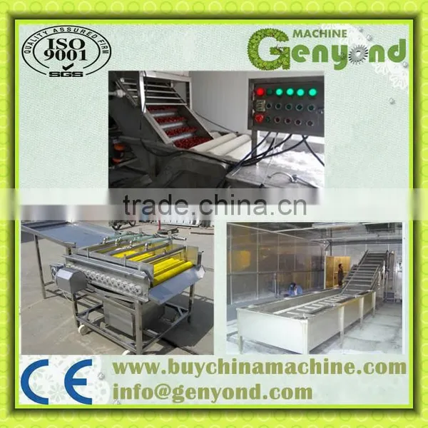 Red Dates / Jujube Drying Production Line