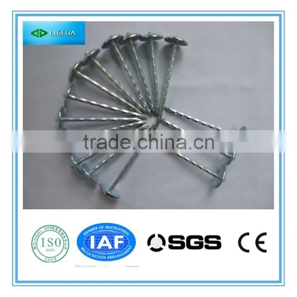 Hot Sale Roofing Nails/umbrella Head Nails photo-2