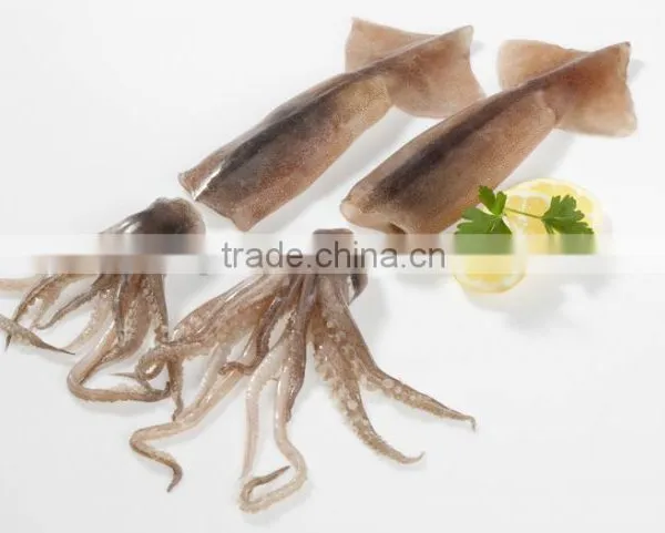 Illex Argentinus Frozen Squid Whole Round