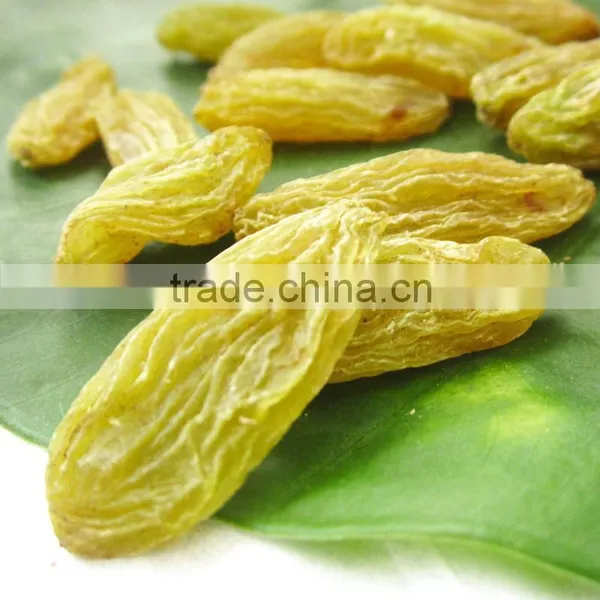 Hot Sell Dried Sultana Raisin Seedless Grape photo-2