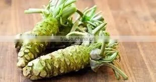 Wasabi Powder High Quality Competitive Price Best Selling photo-2