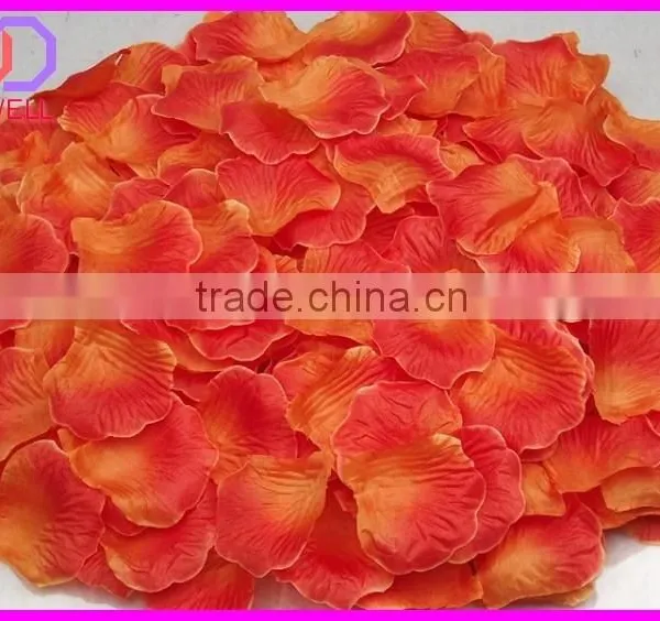 Preserved Natural Rose Petals photo-3