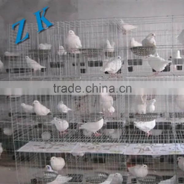 Automatic Water for Chicken Cage , Laying Hen ,small Chicken ,chick photo-4