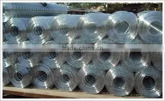 Welded Wire Mesh photo-2