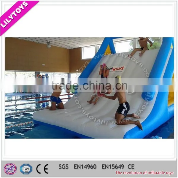 2015 Newest Design Inflatable Pool Slide on Sale, Giant Inflatable Water Slide photo-5