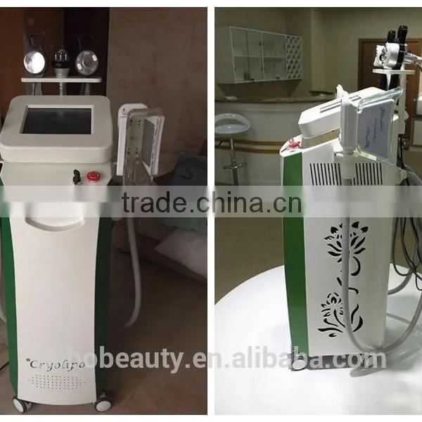 Whole Sale Freeze Sculptor Fat Freezing Cryolipolisis Slimming Fat Removal Weight Loss Machine photo-5