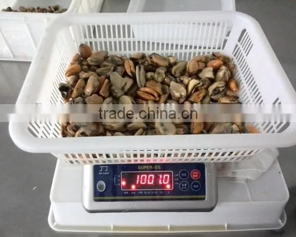 Frozen Blue Mussel Meat photo-3