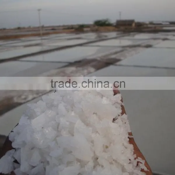 Crystal Salt Iodized