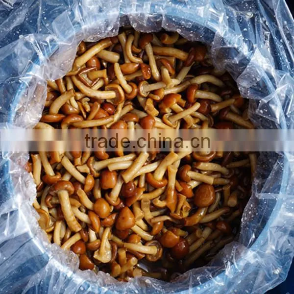 Nameko Mushroom Cultivation