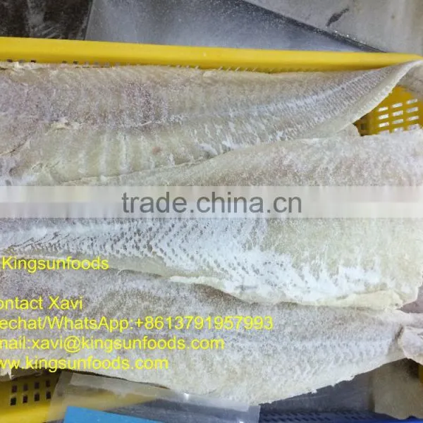 SALTED PACIFIC COD FILLET WITH GOOD PRICE photo-2