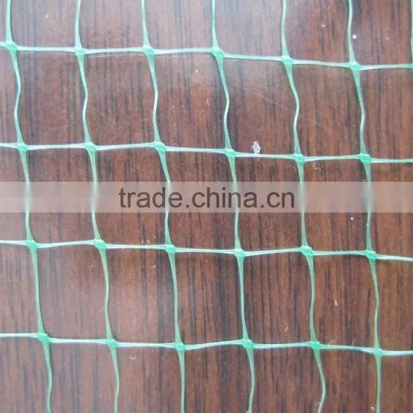 Hdpe Plant Climbing Support Netting/Plastic Net photo-5