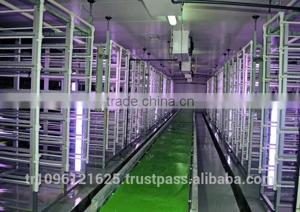 StarMax Hydroponic Fodder System photo-6